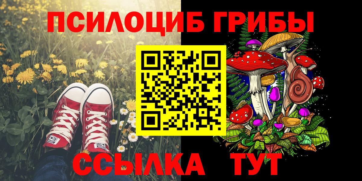 Псилоцибиновые грибы прущие грибы Канаш