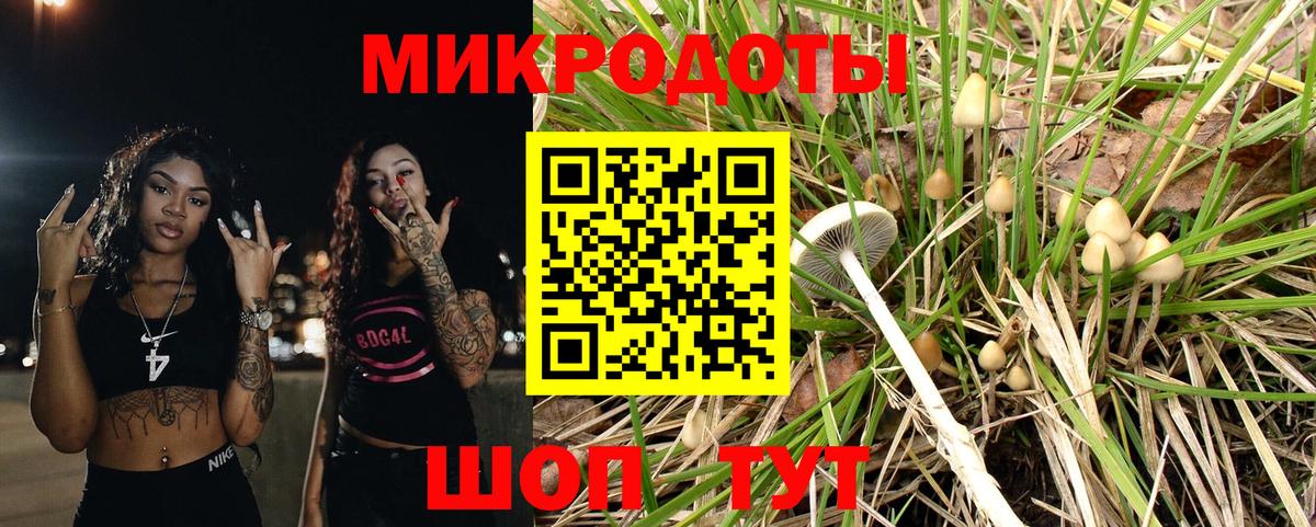 Галлюциногенные грибы ЛСД  как найти закладки  Галлюциногенные грибы мицелий  Канаш  Вход с VPN 